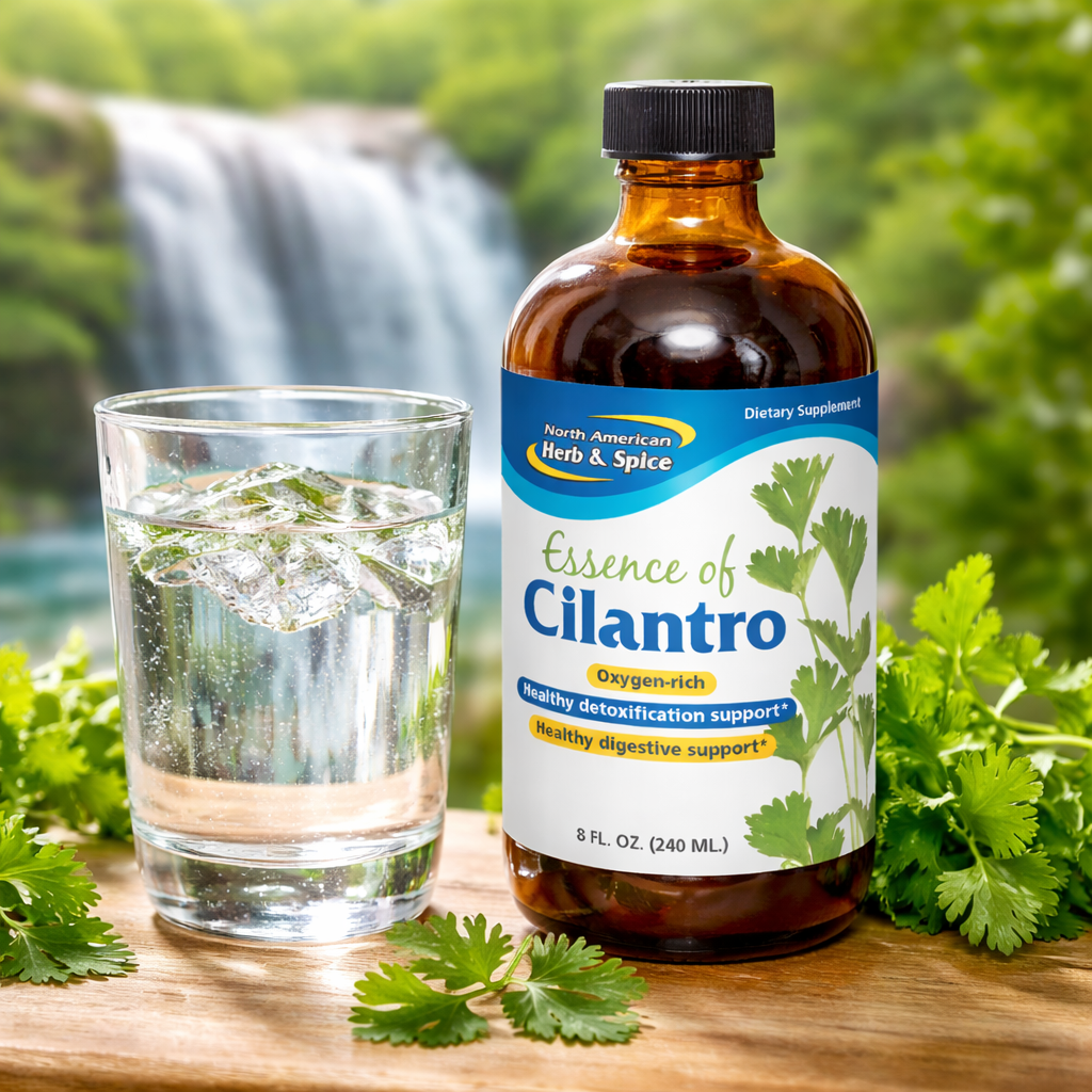 North American Herb & Spice - Essence of Pure Cilantro